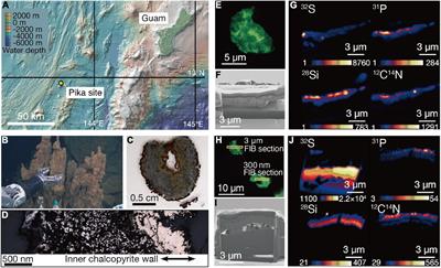 Copper-Nanocoated Ultra-Small Cells in Grain Boundaries Inside an Extinct Vent Chimney